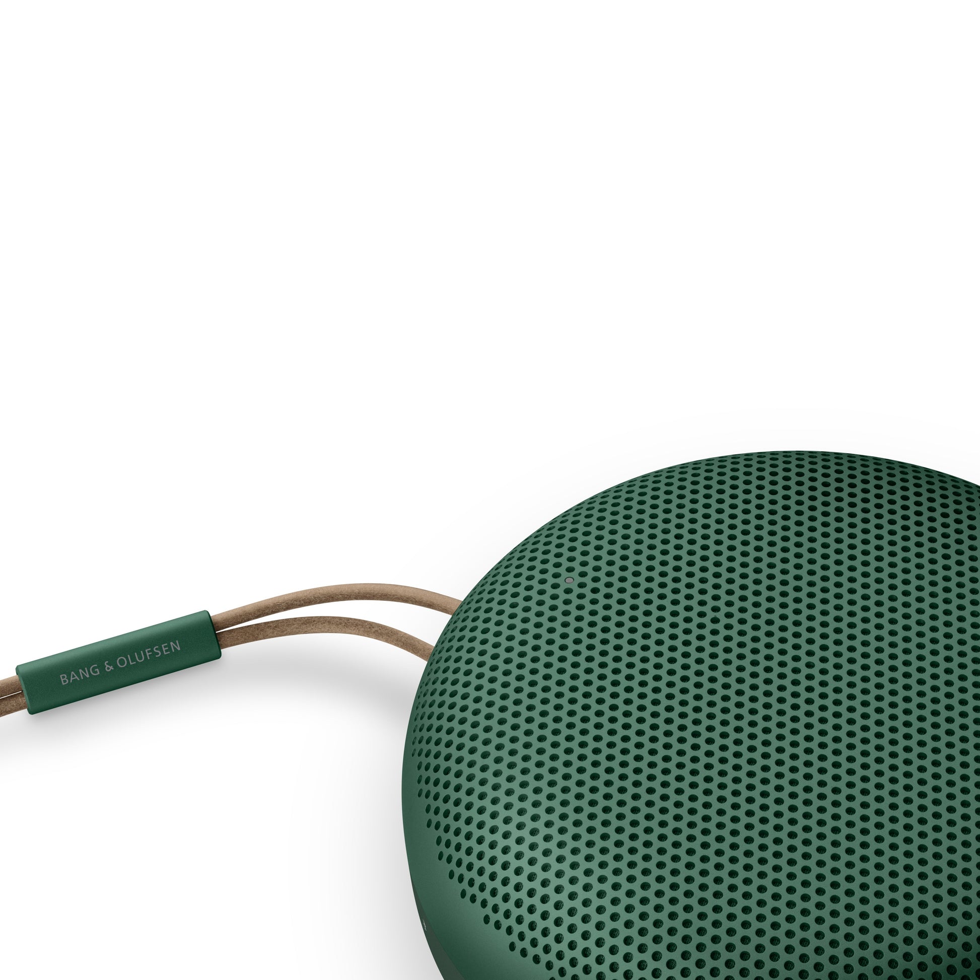 Bang & Olufsen BeoSound A1 2. Generation - Green - Lochmuster